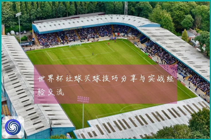 世界杯让球买球技巧分享与实战经验交流