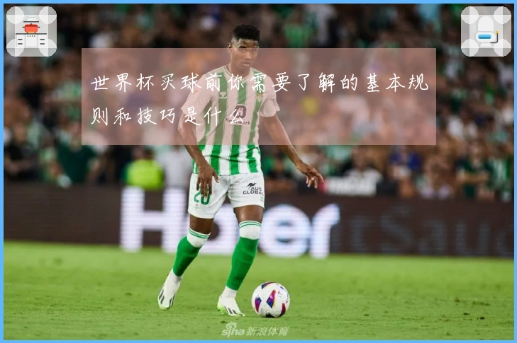 世界杯买球前你需要了解的基本规则和技巧是什么