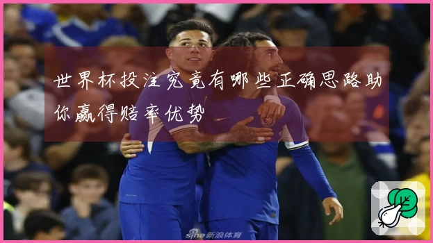 世界杯投注究竟有哪些正确思路助你赢得赔率优势