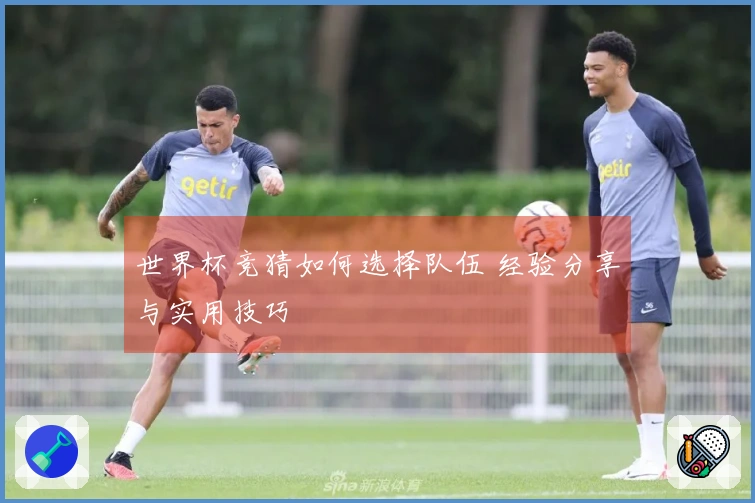 世界杯竞猜如何选择队伍 经验分享与实用技巧