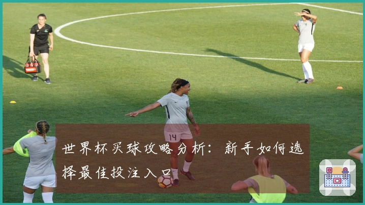 世界杯买球攻略分析：新手如何选择最佳投注入口
