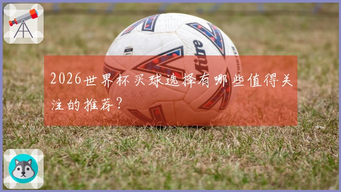 2026世界杯买球选择有哪些值得关注的推荐？