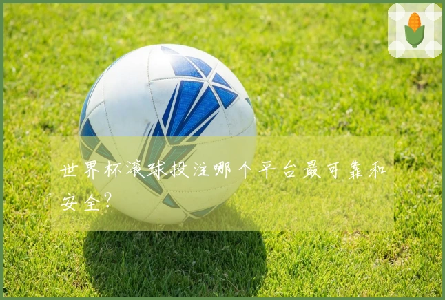 世界杯滚球投注哪个平台最可靠和安全？