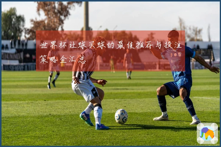 世界杯让球买球的最佳推荐与投注策略全汇总