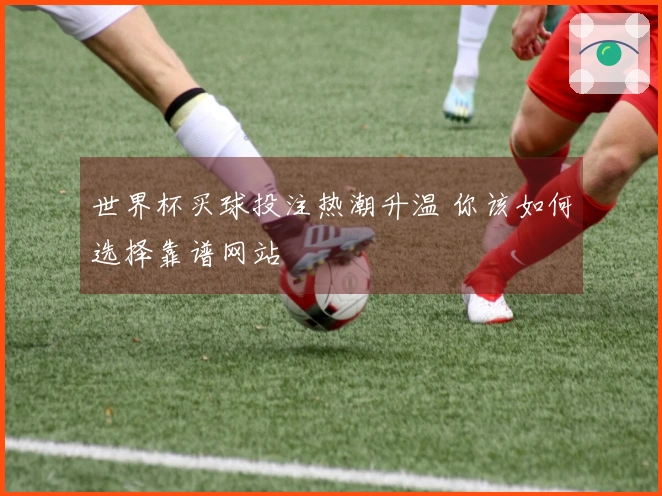 世界杯买球投注热潮升温 你该如何选择靠谱网站
