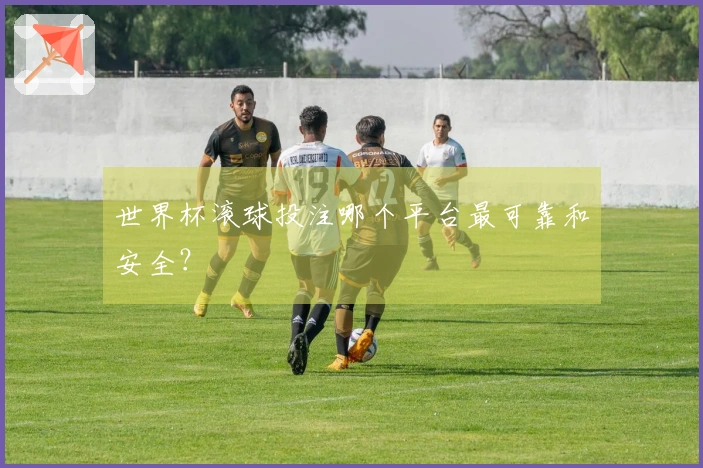 世界杯滚球投注哪个平台最可靠和安全？
