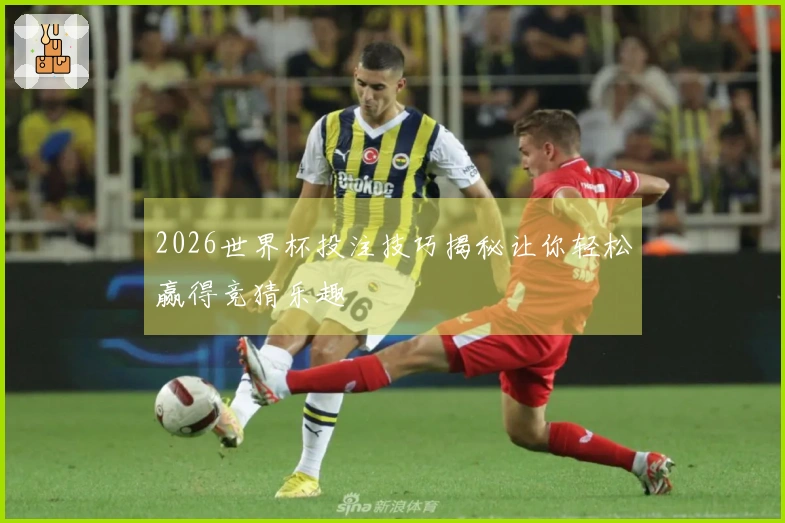 2026世界杯投注技巧揭秘让你轻松赢得竞猜乐趣