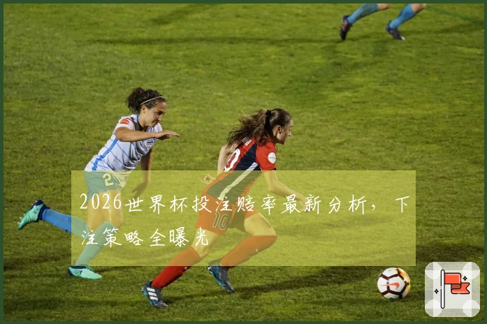 2026世界杯投注赔率最新分析，下注策略全曝光