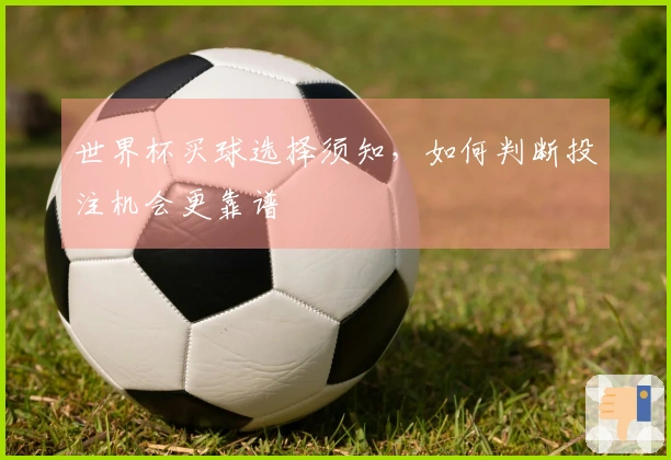 世界杯买球选择须知，如何判断投注机会更靠谱