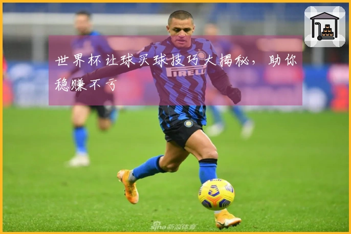 世界杯让球买球技巧大揭秘,助你稳赚不亏