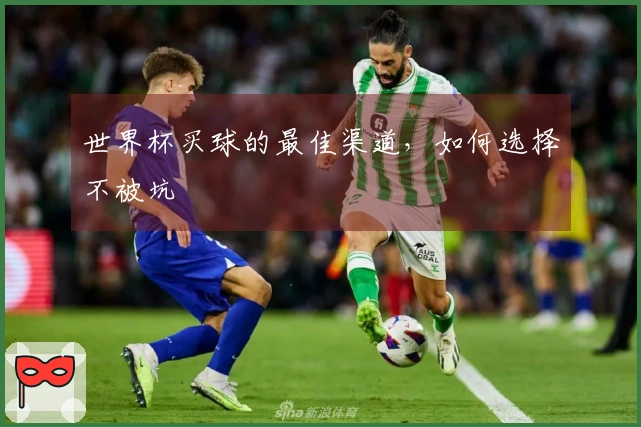 世界杯买球的最佳渠道，如何选择不被坑