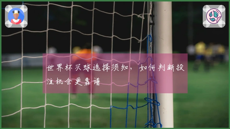 世界杯买球选择须知,如何判断投注机会更靠谱
