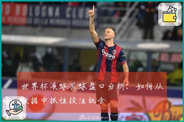 世界杯滚球买球盘口分析：如何从数据中抓住投注机会