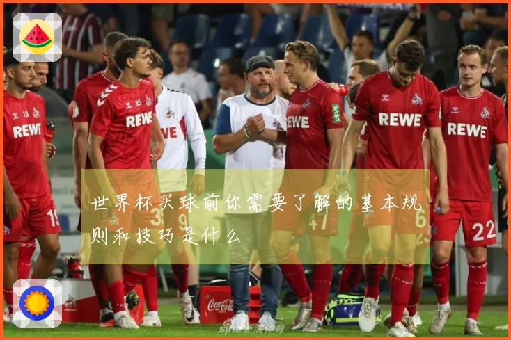世界杯买球前你需要了解的基本规则和技巧是什么