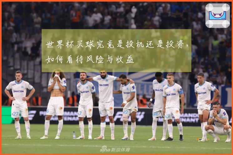 世界杯买球究竟是投机还是投资,如何看待风险与收益