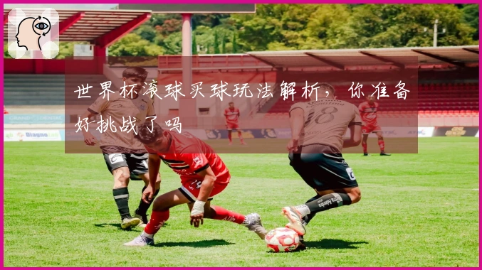 世界杯滚球买球玩法解析，你准备好挑战了吗