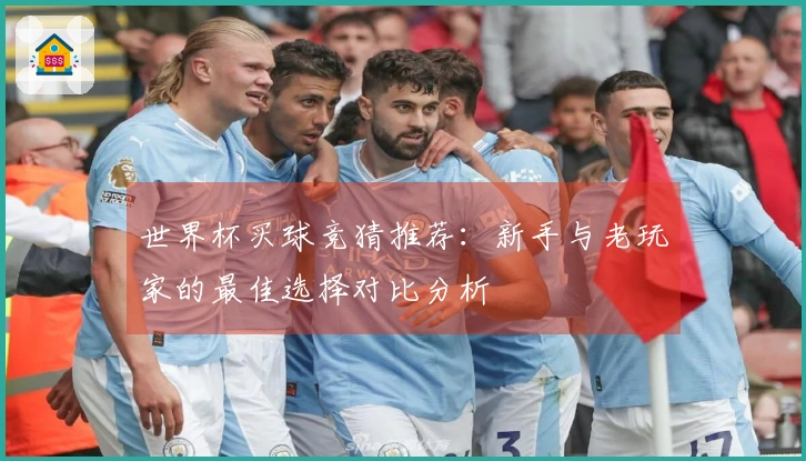 世界杯买球竞猜推荐：新手与老玩家的最佳选择对比分析