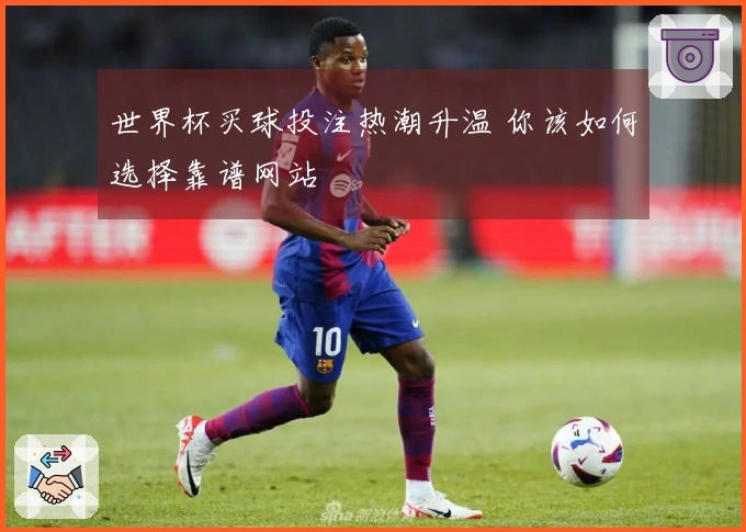 世界杯买球投注热潮升温 你该如何选择靠谱网站