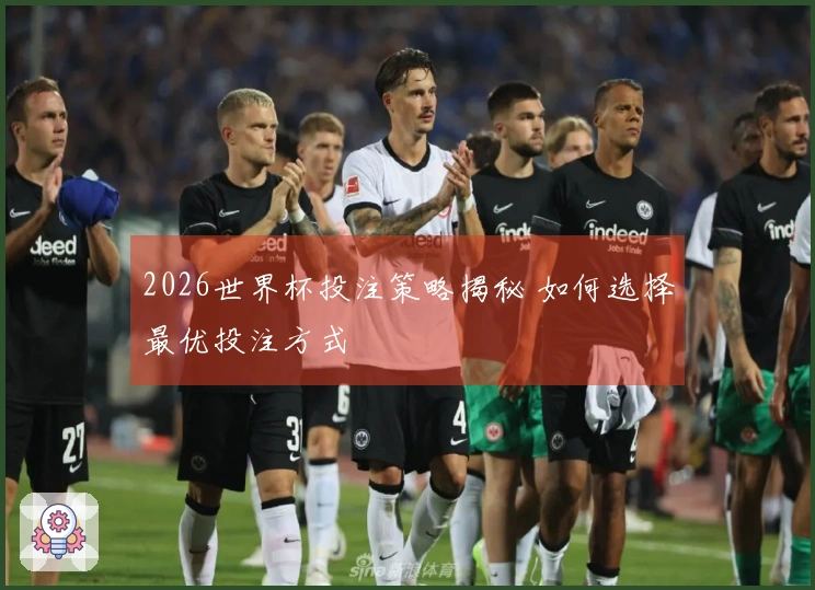 2026世界杯投注策略揭秘 如何选择最优投注方式