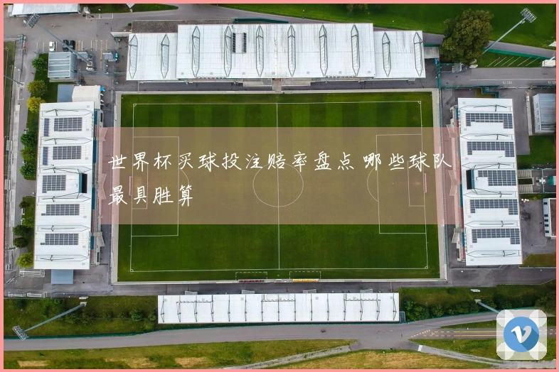 世界杯买球投注赔率盘点 哪些球队最具胜算