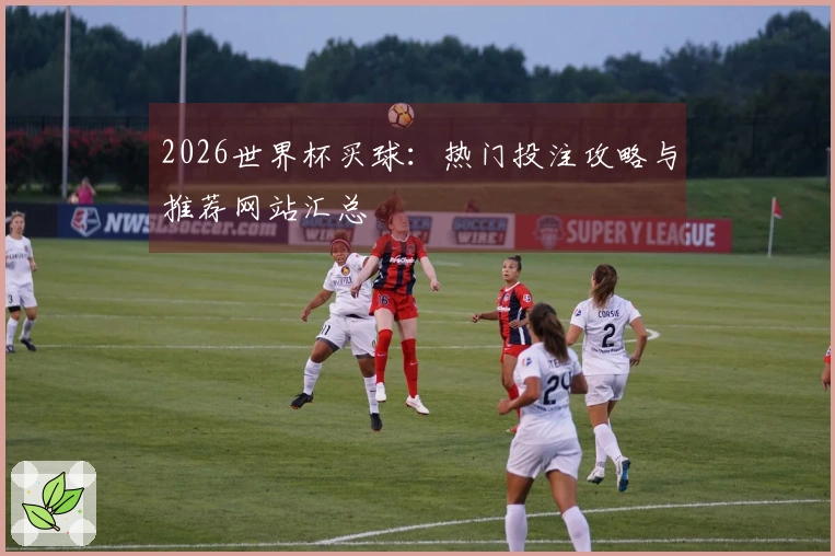 2026世界杯买球：热门投注攻略与推荐网站汇总